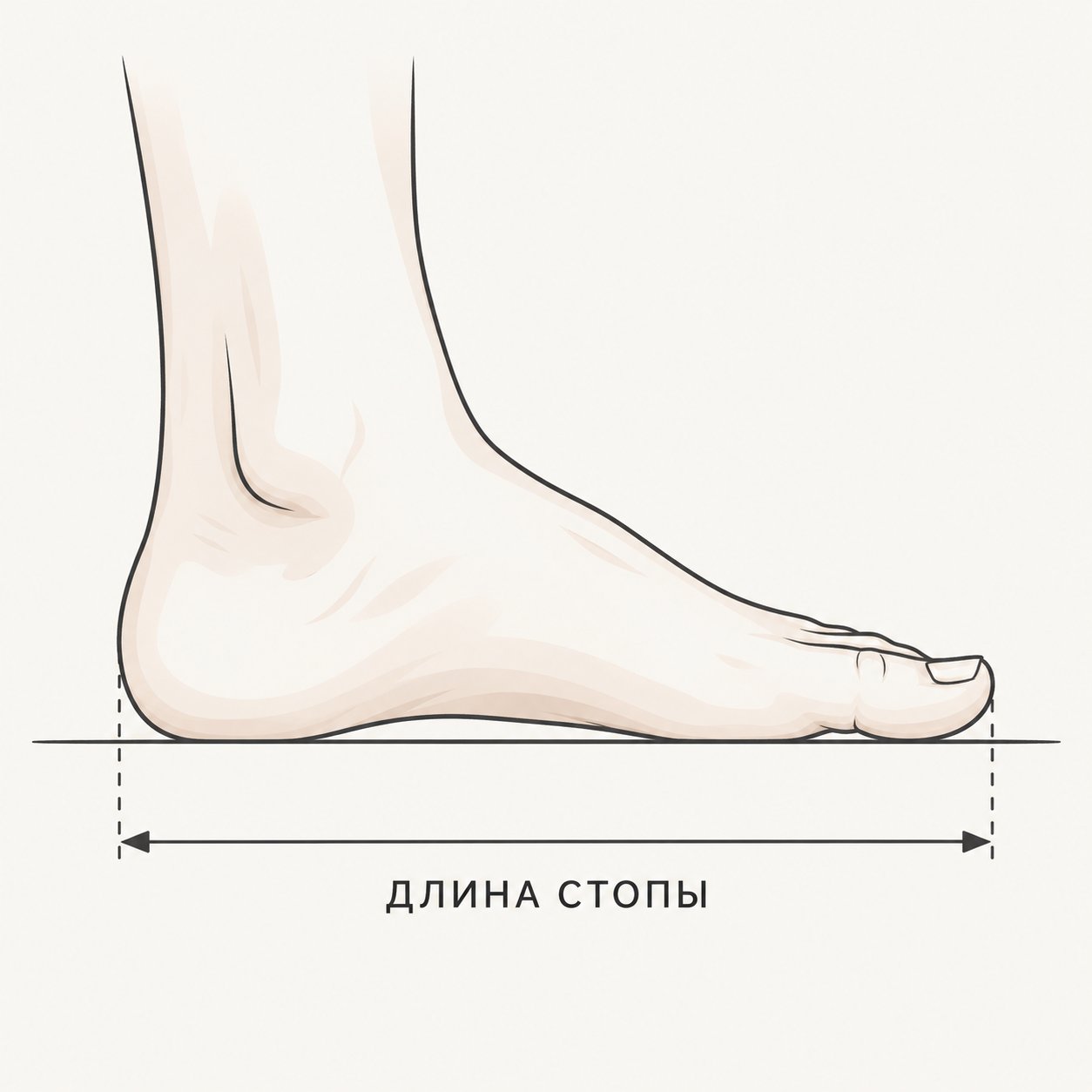 Измерение длины стопы от пятки до самого длинного пальца