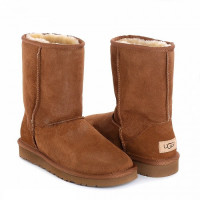 UGG Classic Short II Chestnut