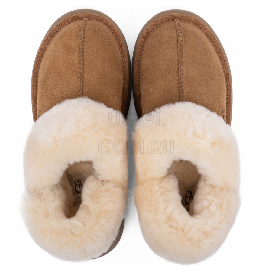 Женские UGG Slippers Disquette Chestnut
