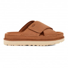 Goldenstar Cross Chestnut