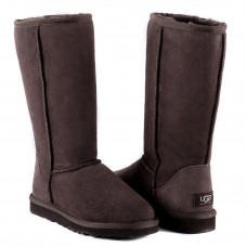 Classic Tall II Chocolate