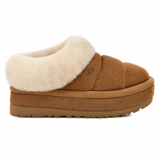 Tazzlita Chestnut