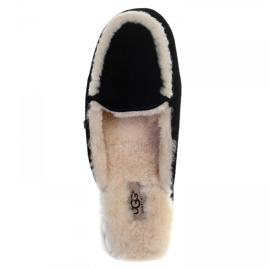 Женские UGG Lane Slippers Black