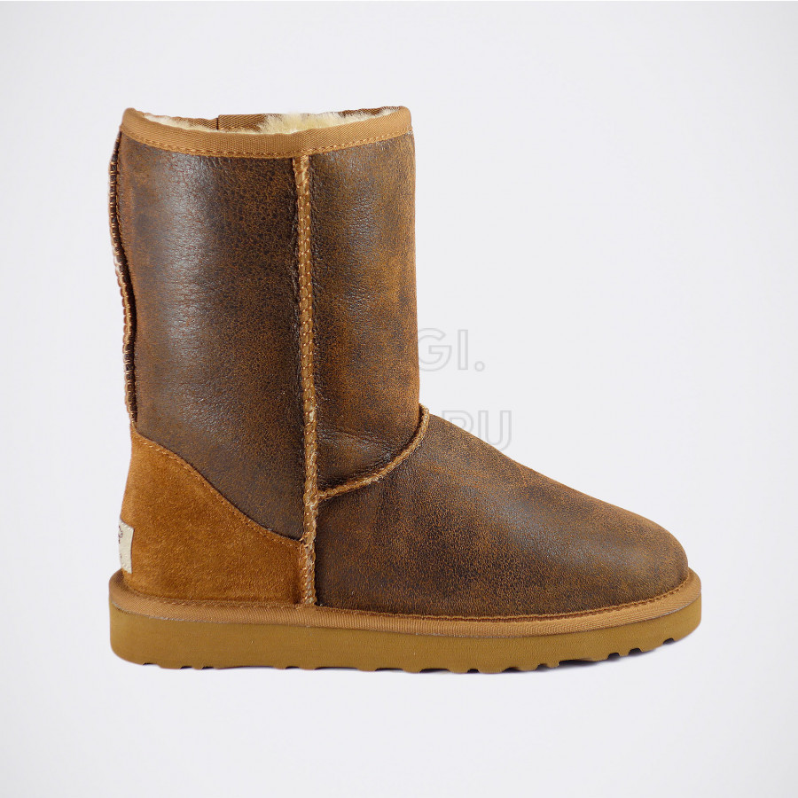 Женские UGG Classic Short Bomber Chestnut