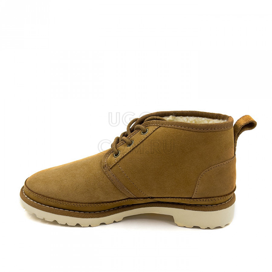 Мужские UGG Mens Neuland Chestnut