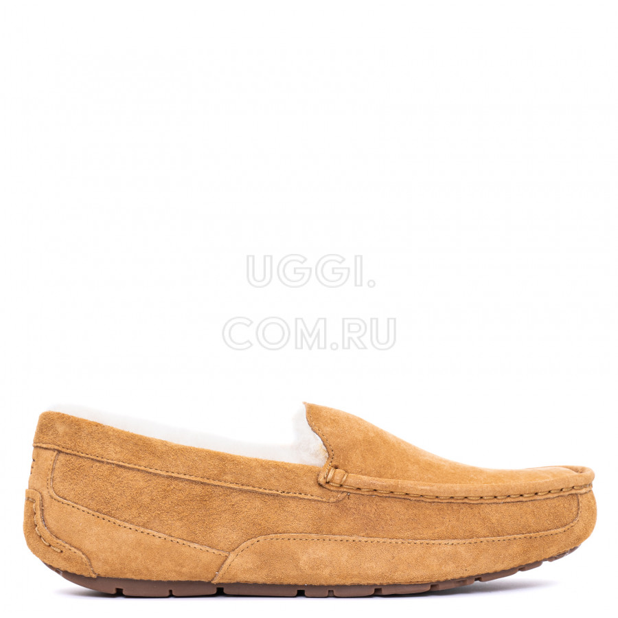 Мужские UGG Mens Ascot Chestnut