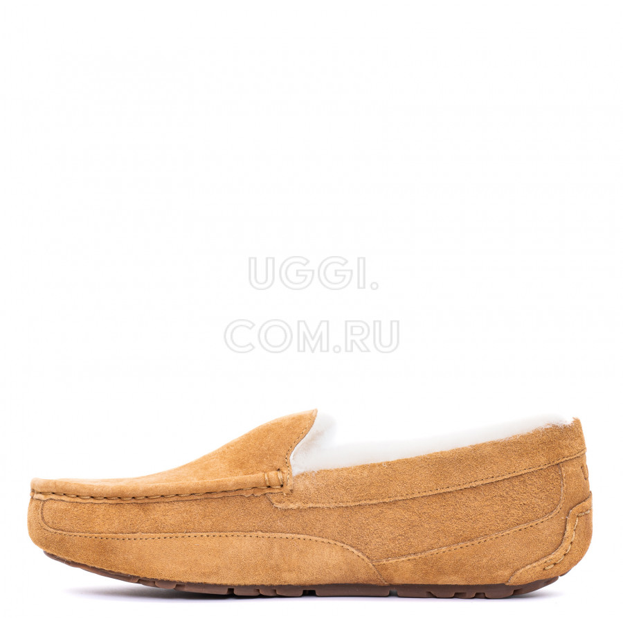 Мужские UGG Mens Ascot Chestnut