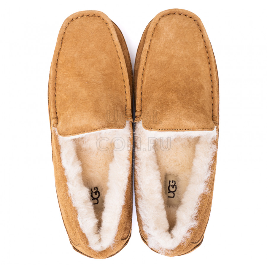 Мужские UGG Mens Ascot Chestnut