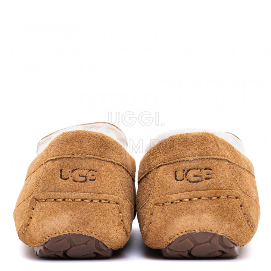 Мужские UGG Mens Ascot Chestnut