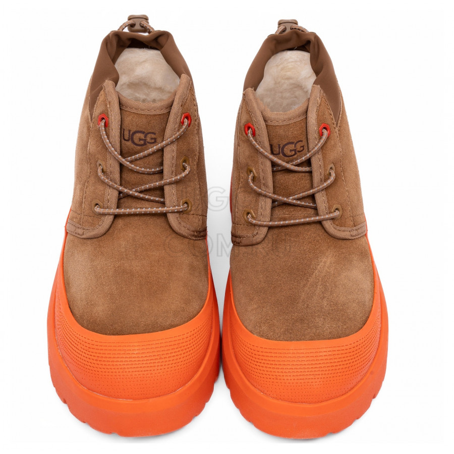 Мужские UGG Mens Neumel Hybrid Chestnut / Orange