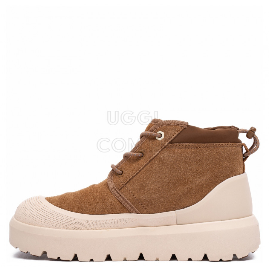 Мужские UGG Mens Neumel Hybrid Chestnut / Whitecap