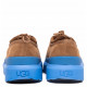 Мужские UGG Mens Tasman Hybrid Chestnut / Big Sky