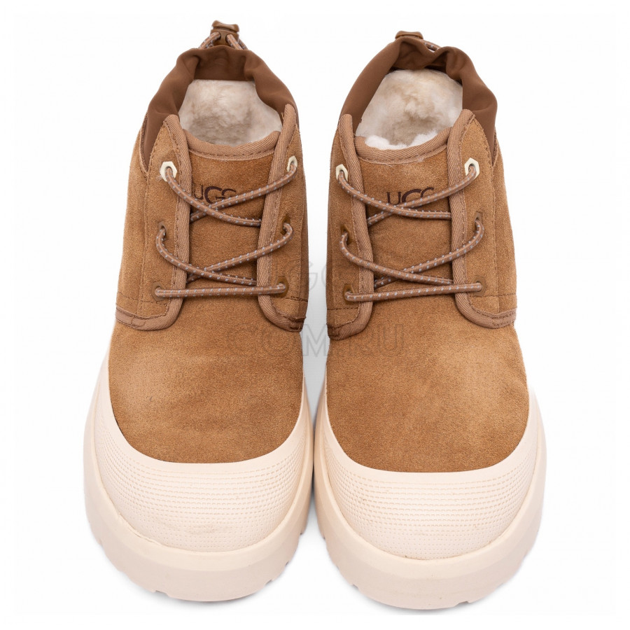 Женские UGG Neumel Hybrid Chestnut / Whitecap