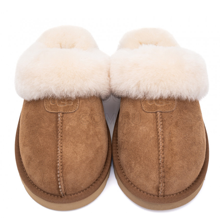 Женские UGG Slippers Scufette Chestnut