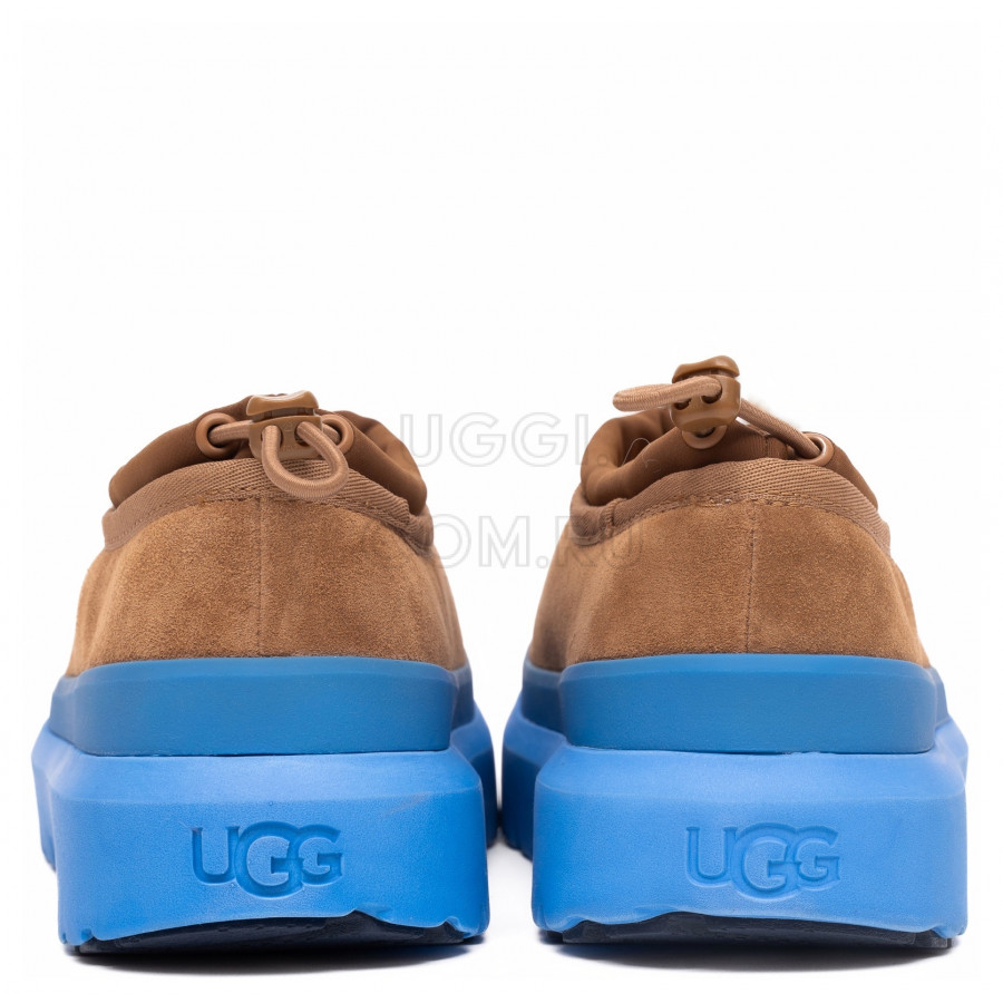 Женские UGG Tasman Hybrid Chestnut / Big Sky