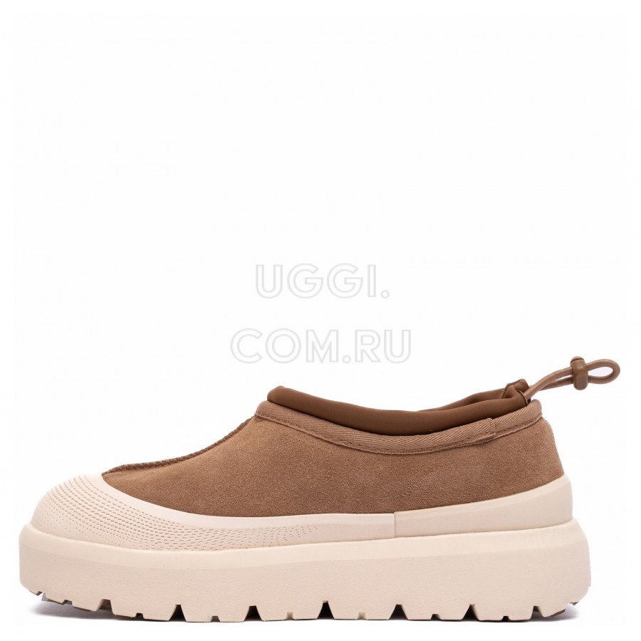 Женские UGG Tasman Hybrid Chestnut / Whitecap