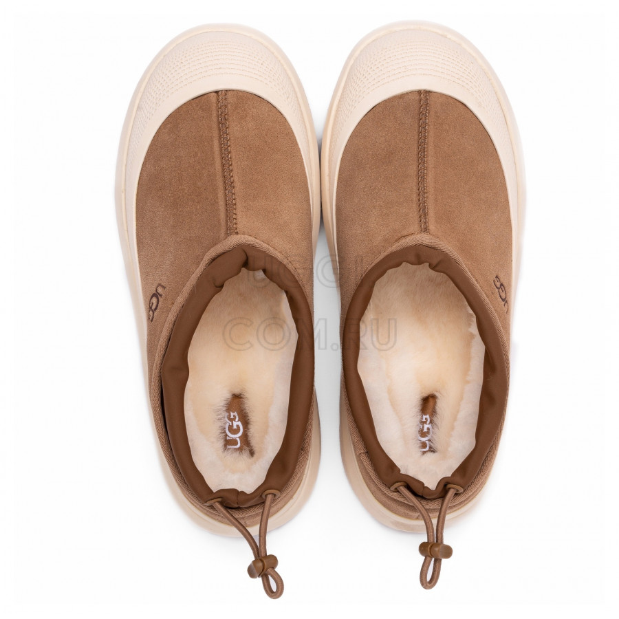 Женские UGG Tasman Hybrid Chestnut / Whitecap