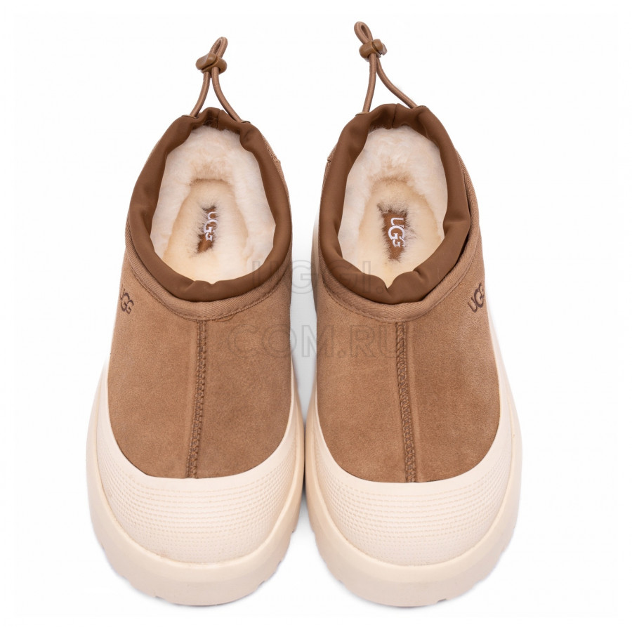 Женские UGG Tasman Hybrid Chestnut / Whitecap