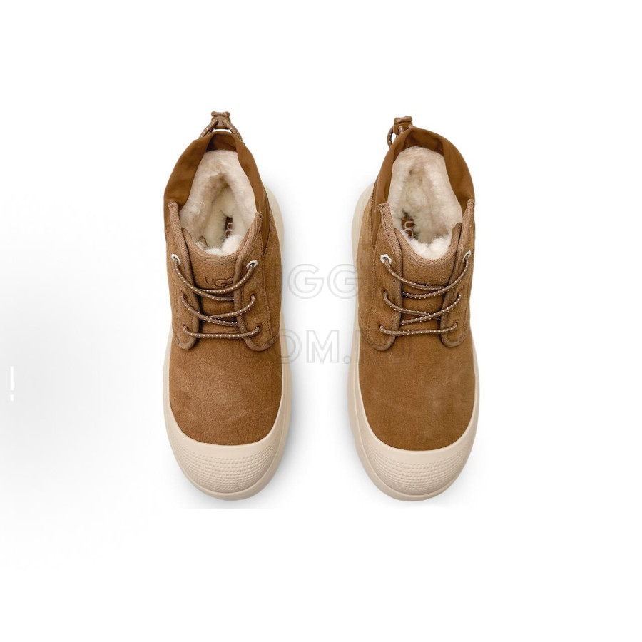 Мужские UGG Mens Neumel Hybrid Chestnut Whitecap A-1