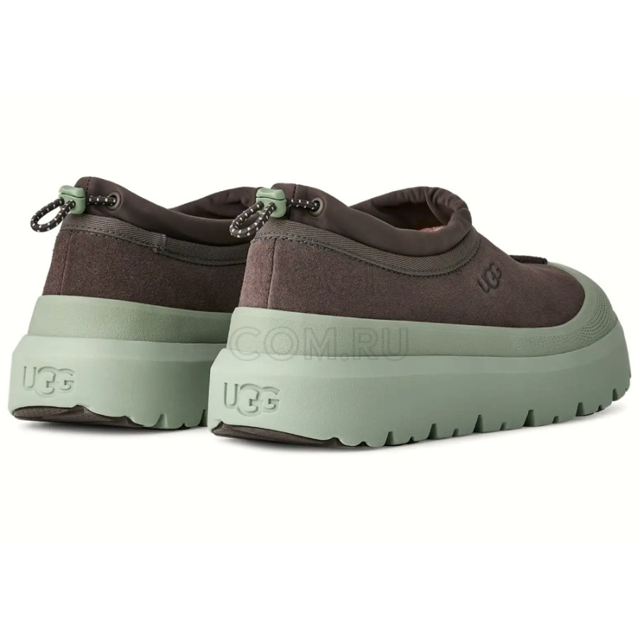 Женские UGG Tasman Hybrid Dense Smoke/Artichoke