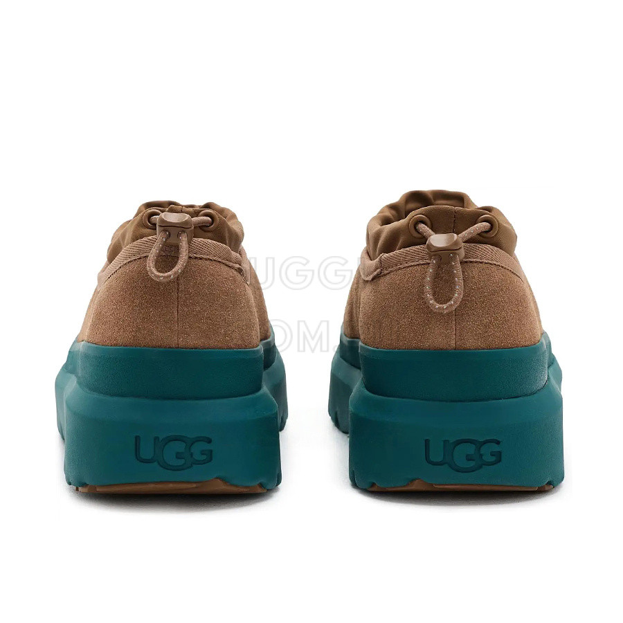 Мужские UGG Mens Tasman Hybrid Chestnut / Marina Blue