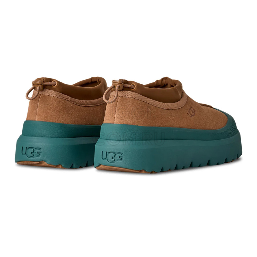 Мужские UGG Mens Tasman Hybrid Chestnut / Marina Blue